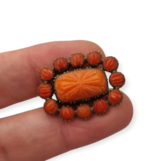 Broche georgiano de finales del siglo XIX con coral rojo tallado y pelo
