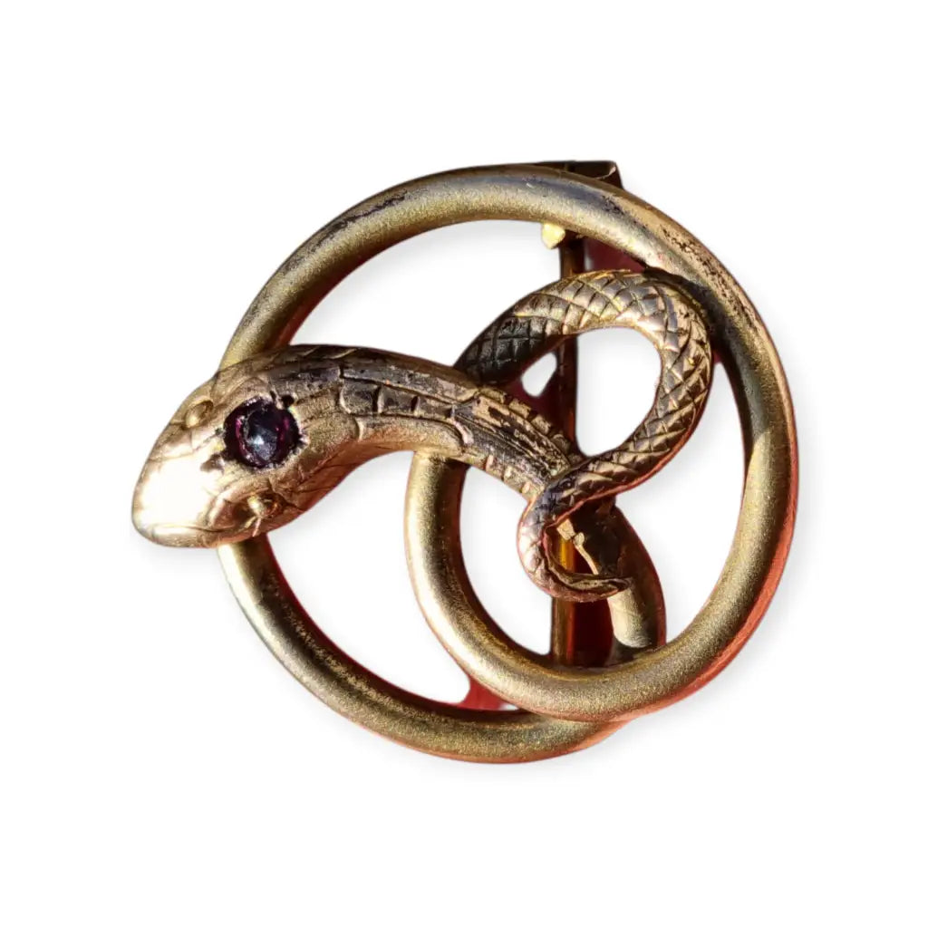 Broche victoriano antiguo en metal dorado con serpiente entrelazada y ojo