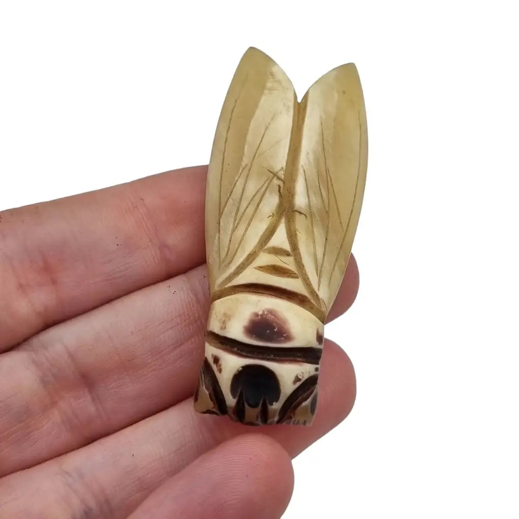 Broche de cigarra francesa vintage para mujer años 20 joyería antigua.