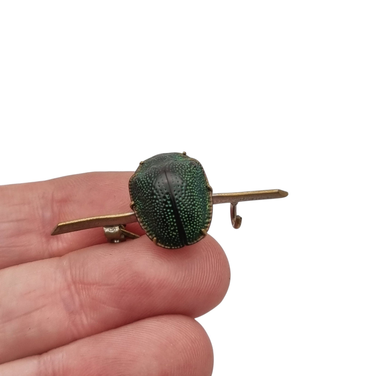 Broche antiguo victoriano Revival Egipcio con escarabajo real en metal dorado, ca. 1880-1905