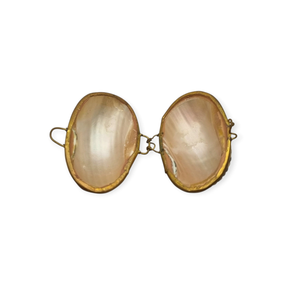Vintage natural seashell coin purse with a gold-tone metal frame, Europe, first half of the 20th century