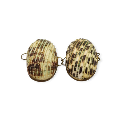 Vintage natural seashell coin purse with a gold-tone metal frame, Europe, first half of the 20th century