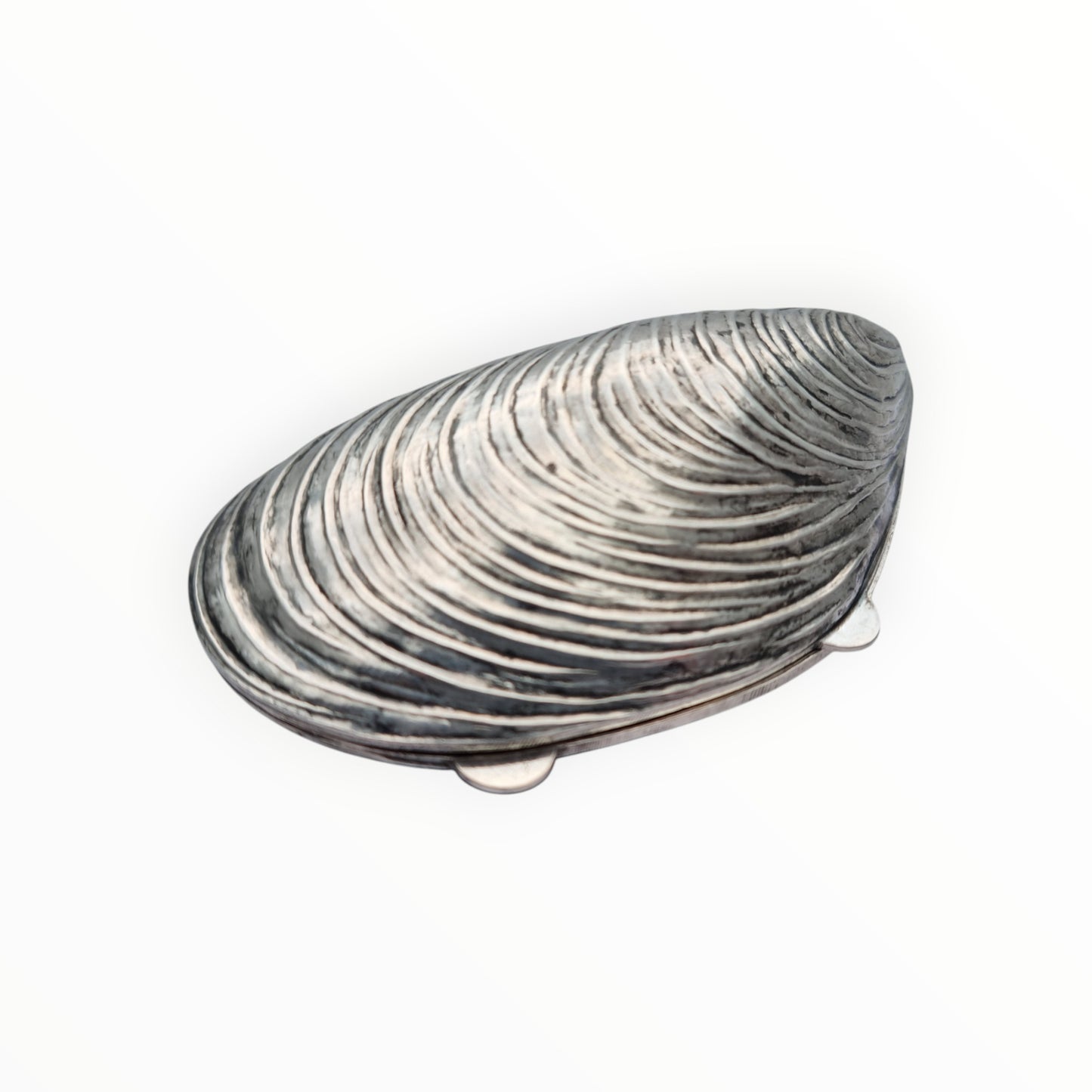 Vintage 800 silver mussel-shaped box for collectors. Italy 1980