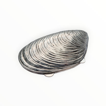 Vintage 800 silver mussel-shaped box for collectors. Italy 1980