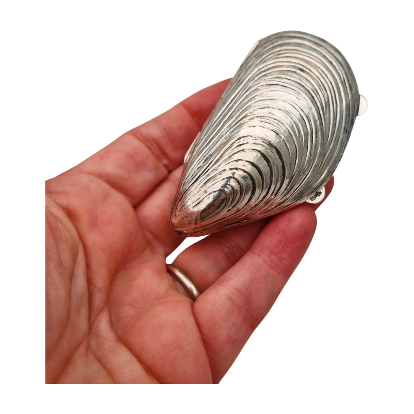 Vintage 800 silver mussel-shaped box for collectors. Italy 1980