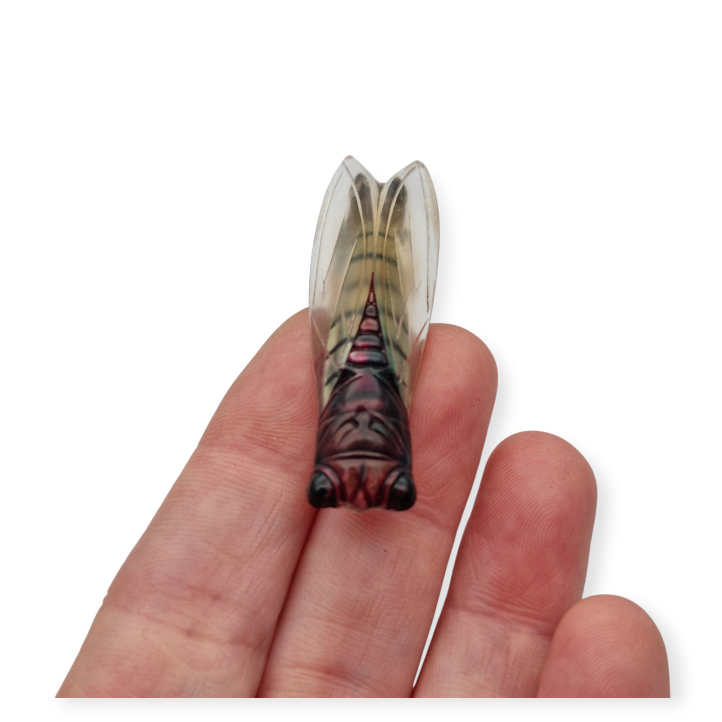 Cicada brooch in lucite, Provençal design, France circa 1940