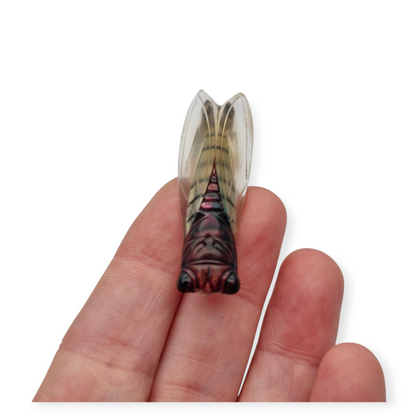 Cicada brooch in lucite, Provençal design, France circa 1940