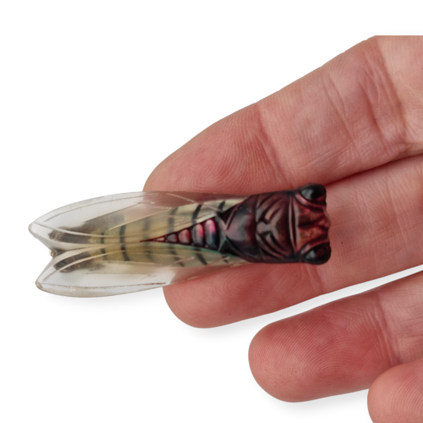 Cicada brooch in lucite, Provençal design, France circa 1940