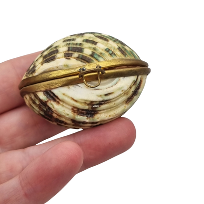Vintage natural seashell coin purse with a gold-tone metal frame, Europe, first half of the 20th century