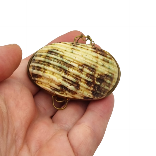 Vintage natural seashell coin purse with a gold-tone metal frame, Europe, first half of the 20th century