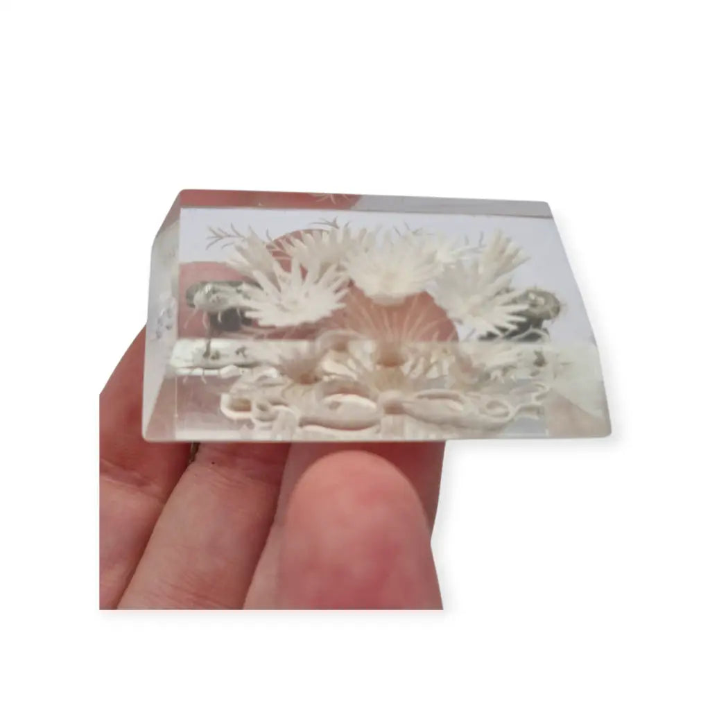 Broche antiguo de lucite transparente años 40–50 con flores talladas