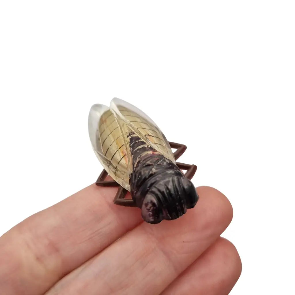 Broche cigarra vintage francesa años 40-50 de lucite en tonos marrones.