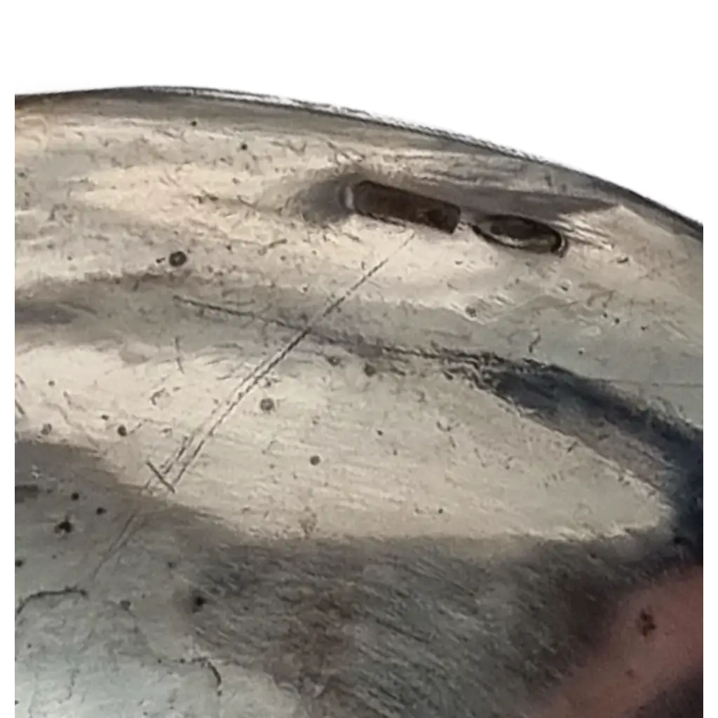 Caja antigua en forma de almeja plata 800 pieza colección siglo XX.