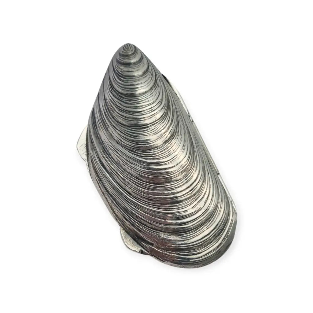 Caja de plata 800 vintage con forma mejillón cofre concha marina años