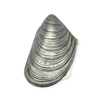 Caja de plata 800 vintage con forma mejillón cofre concha marina años