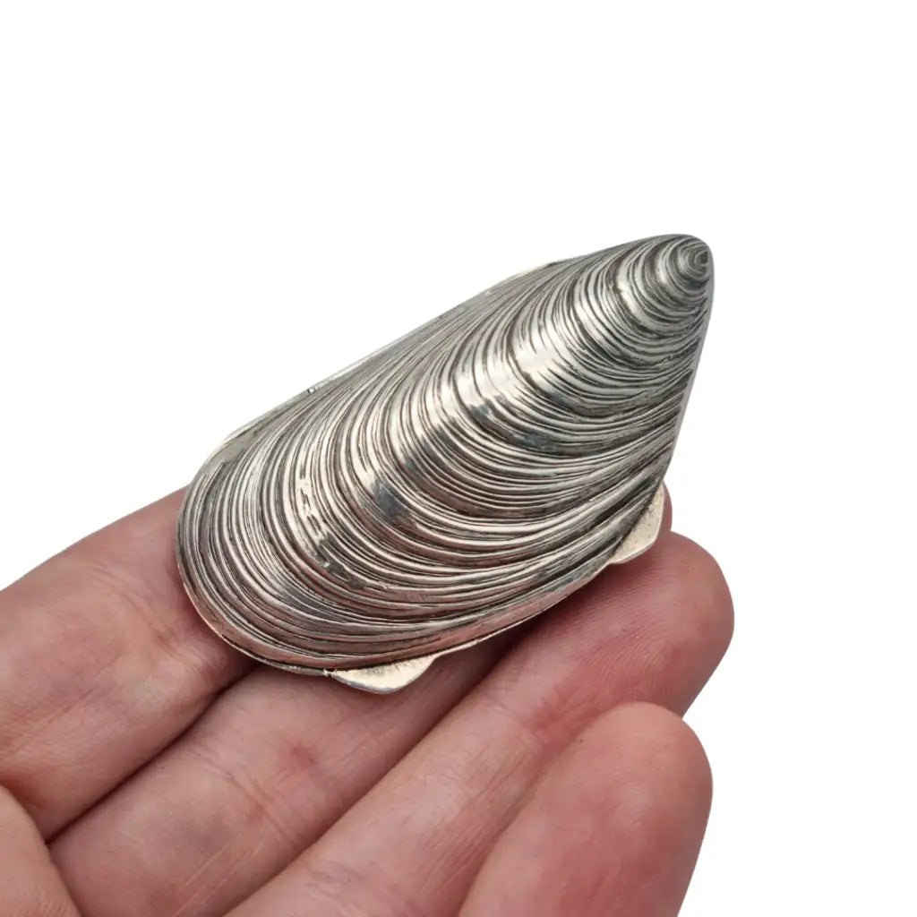 Caja de plata 800 vintage con forma mejillón cofre concha marina años