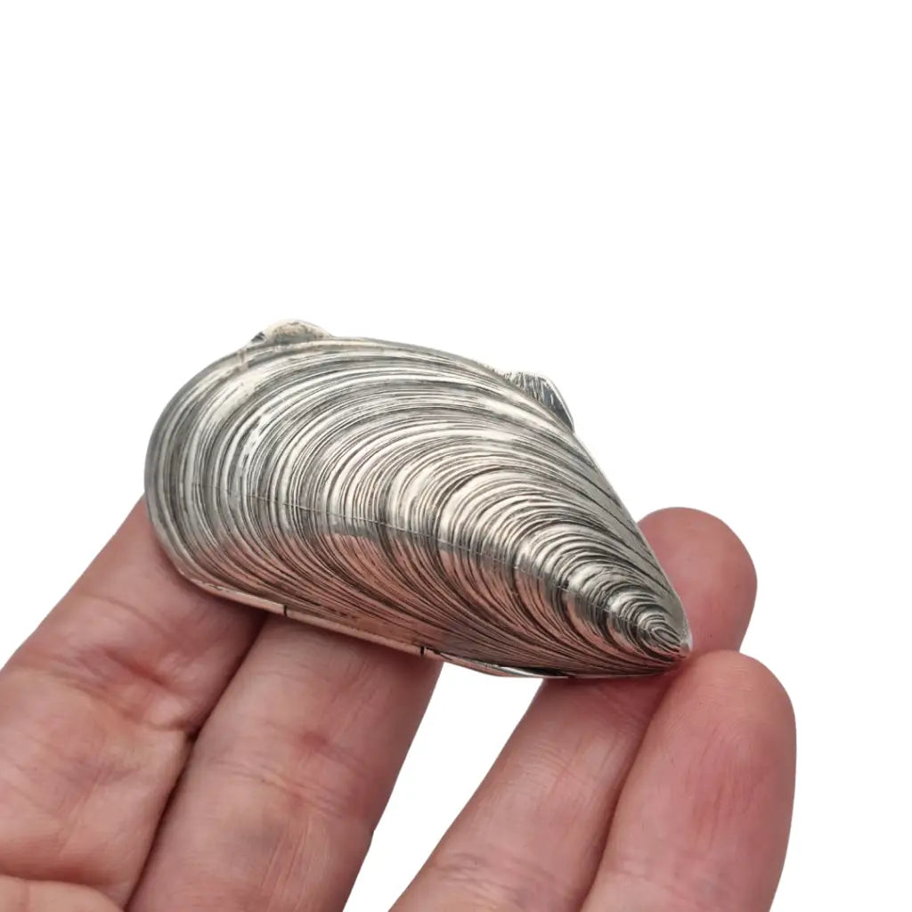 Caja de plata 800 vintage con forma mejillón cofre concha marina años