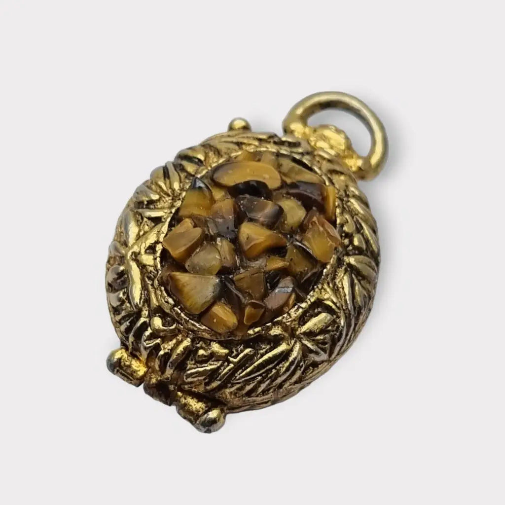 Colgante con foto medallón de oro ojo tigre la marca Hollywood