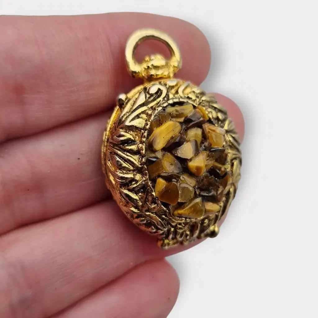 Colgante con foto medallón de oro ojo tigre la marca Hollywood