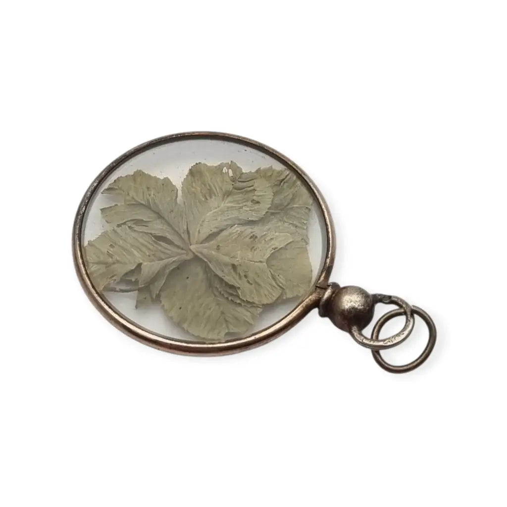 Colgante Guardapelo para fotos antiguo con flor natural seca bajo cristal 1940.