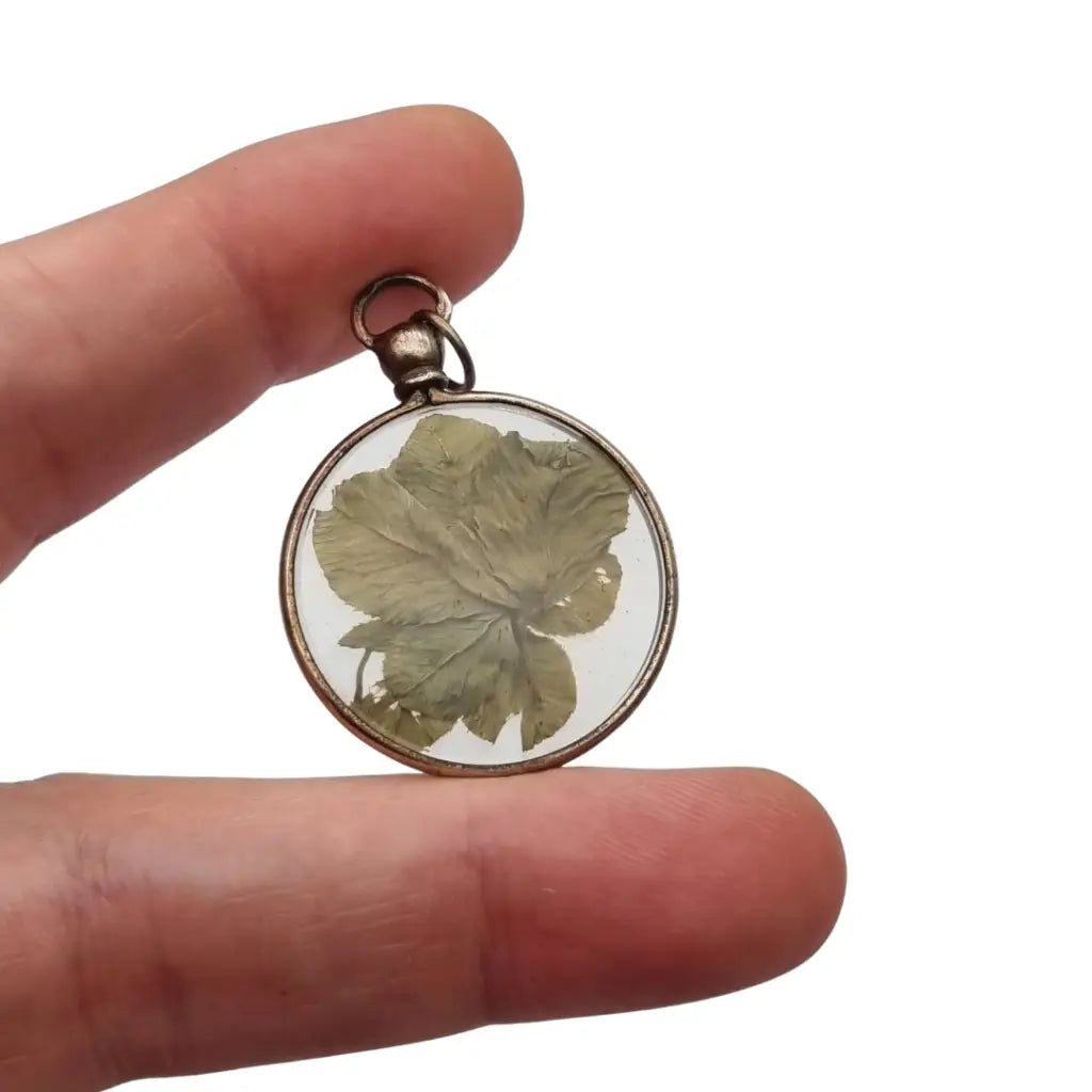 Colgante Guardapelo para fotos antiguo con flor natural seca bajo cristal 1940.