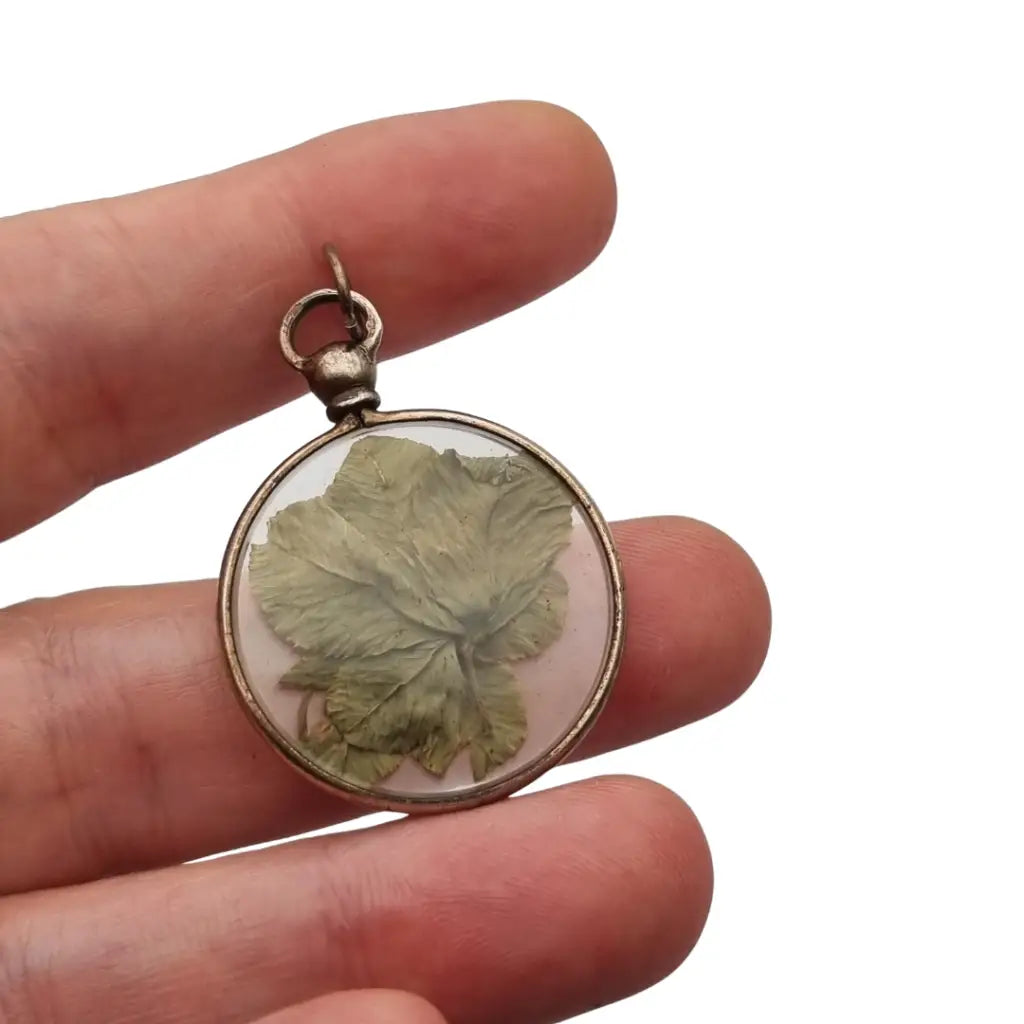 Colgante Guardapelo para fotos antiguo con flor natural seca bajo cristal 1940.