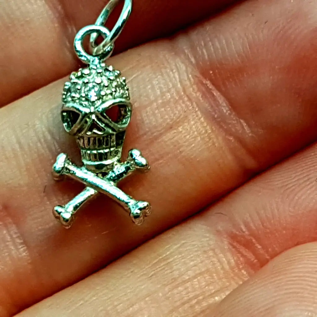 Dije de calavera plata colgante joyería