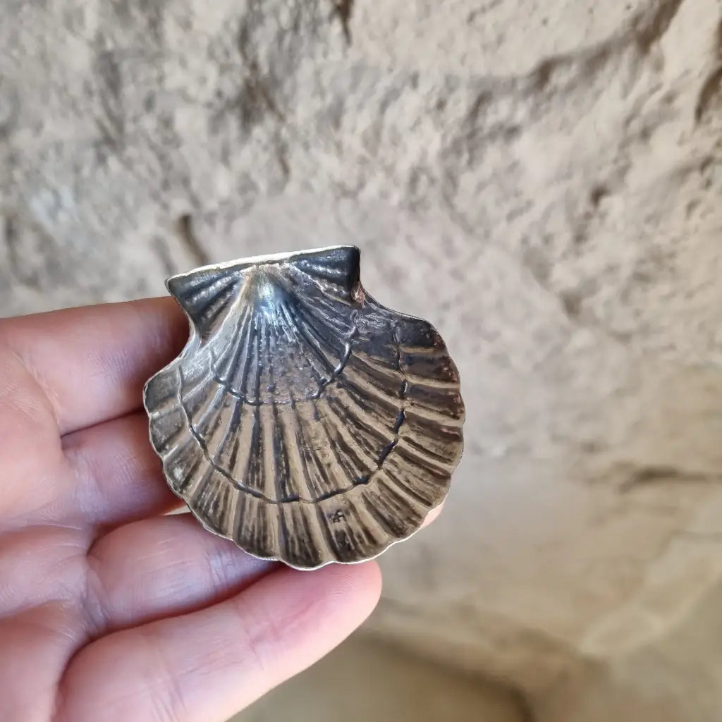 Plato de plata en forma concha bandeja pequeña plata. Alrededor