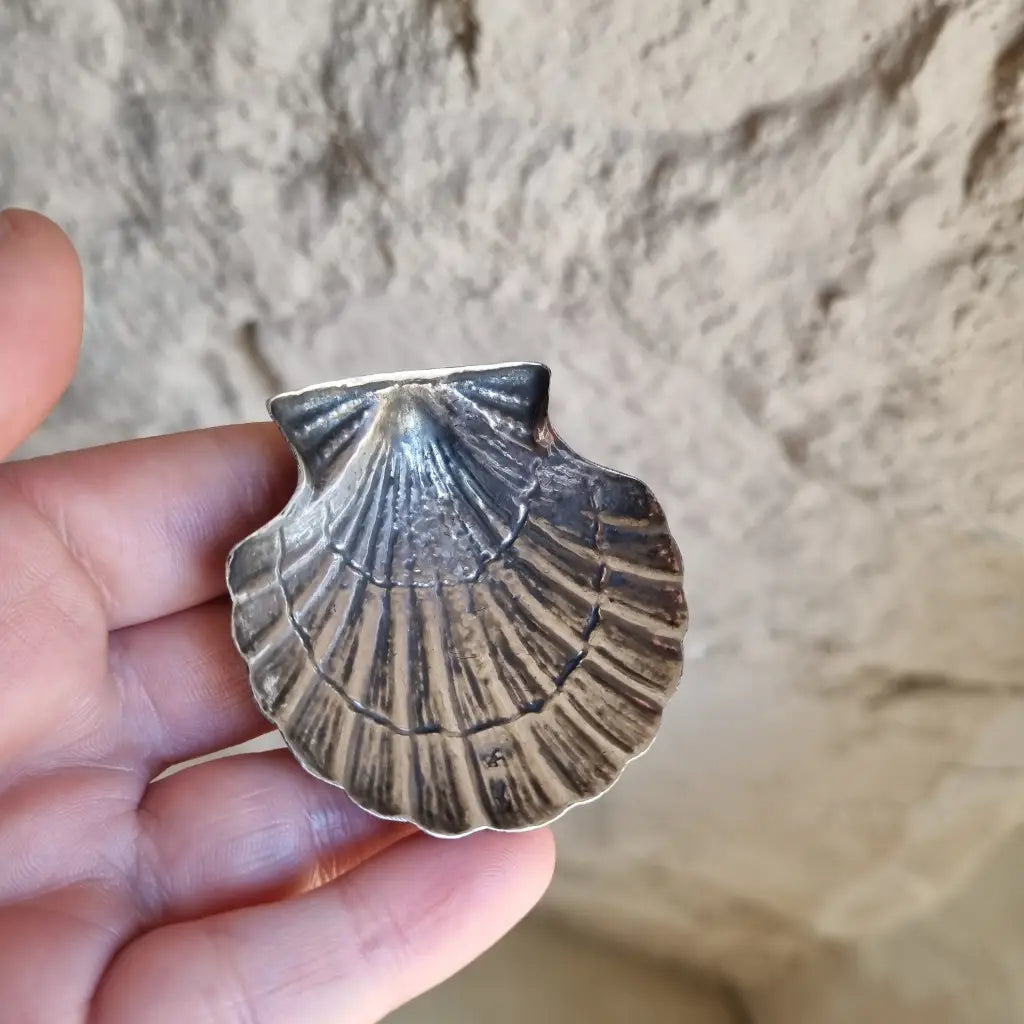 Plato de plata en forma concha bandeja pequeña plata. Alrededor