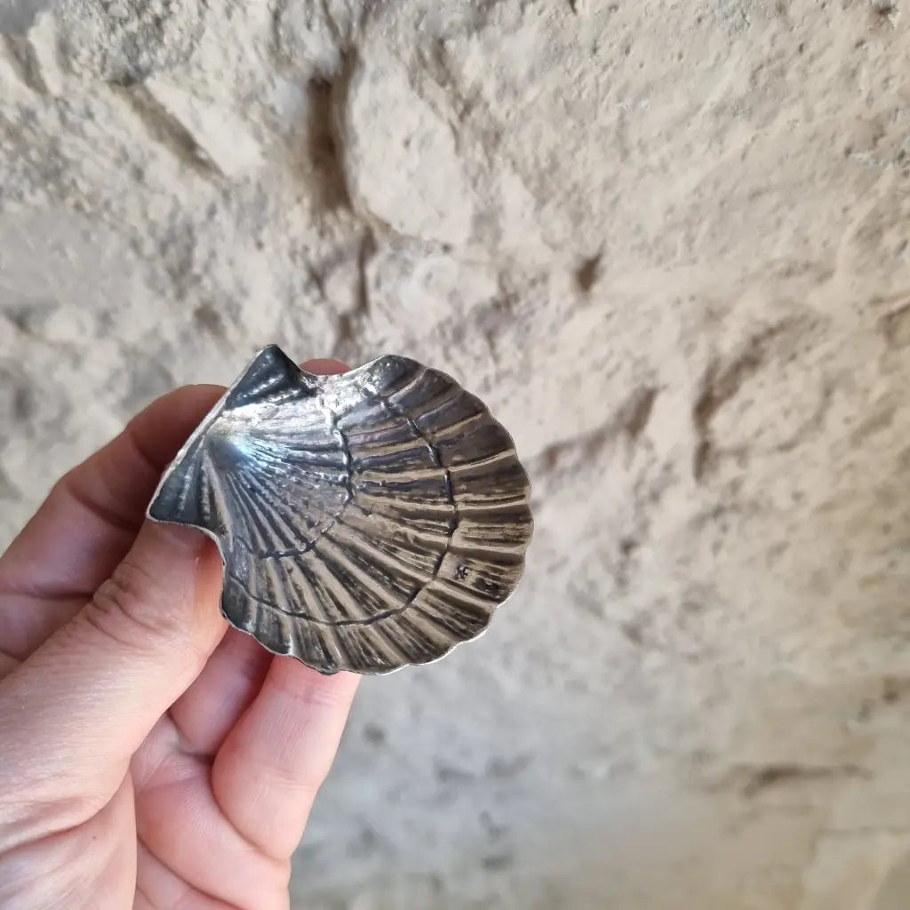 Plato de plata en forma concha bandeja pequeña plata. Alrededor