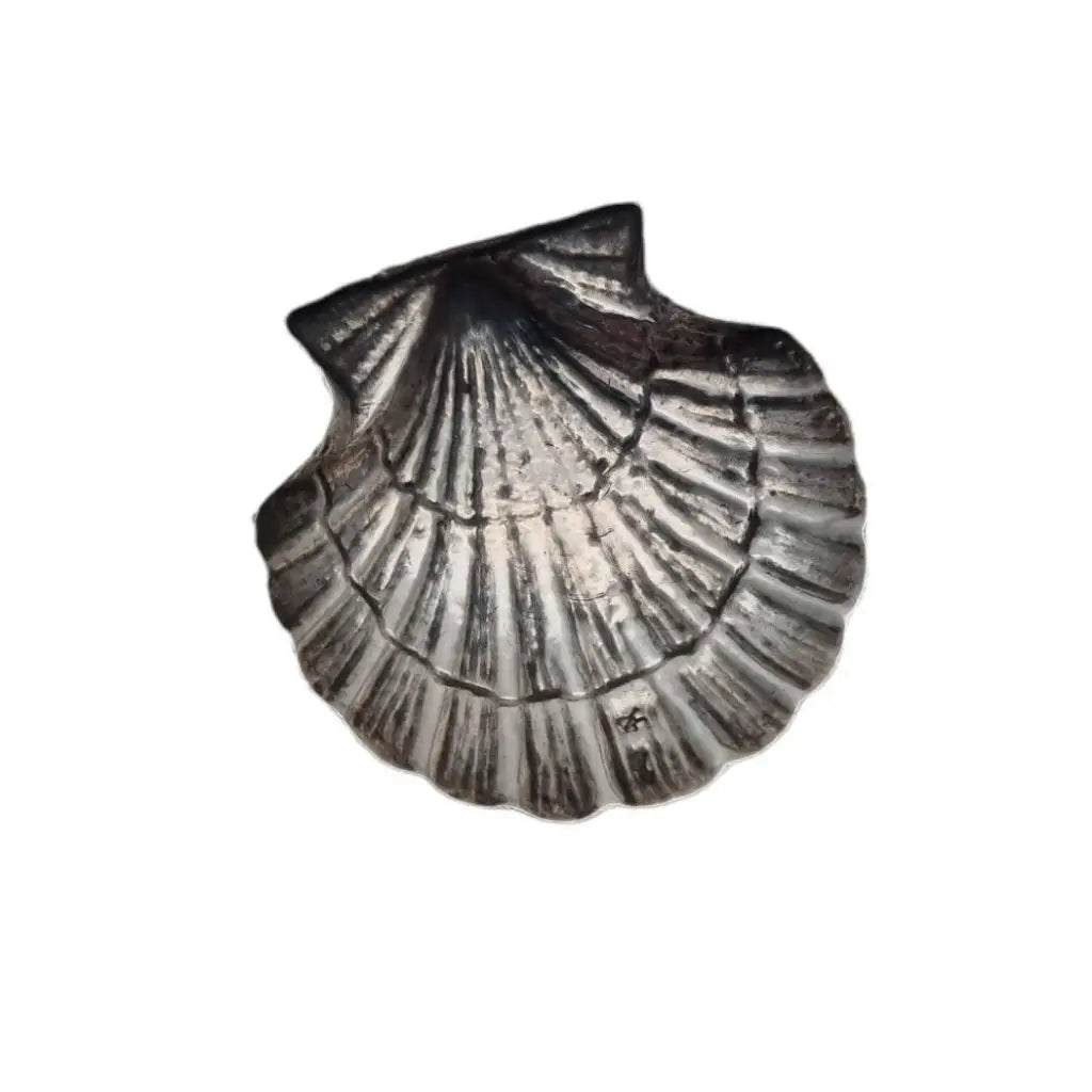 Plato de plata en forma concha bandeja pequeña plata. Alrededor
