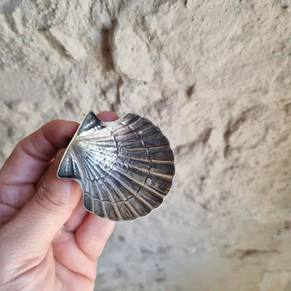 Plato de plata en forma concha bandeja pequeña plata. Alrededor