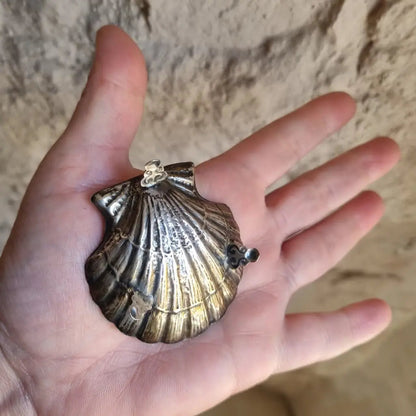 Plato de plata en forma concha bandeja pequeña plata. Alrededor